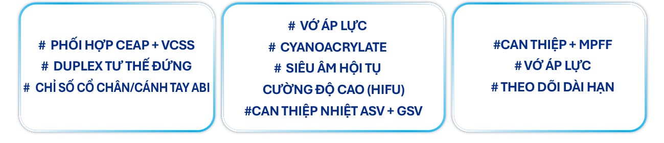 Tĩnh mạch - Hình 1-2